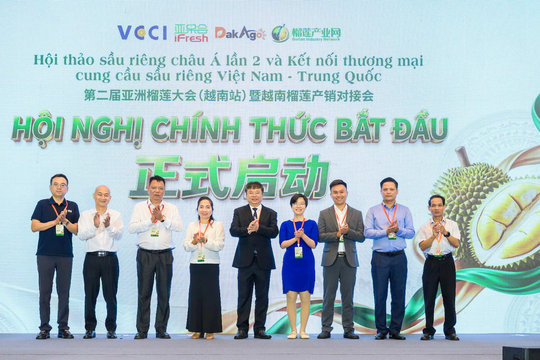 Doanh nghiệp Trung Quốc tăng cường kết nối thương mại với nhà cung ứng sầu riêng Việt Nam