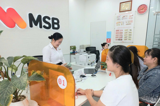 Dòng vốn tín dụng Khu vực 11: Chuyển chất để tạo động lực tăng trưởng mới