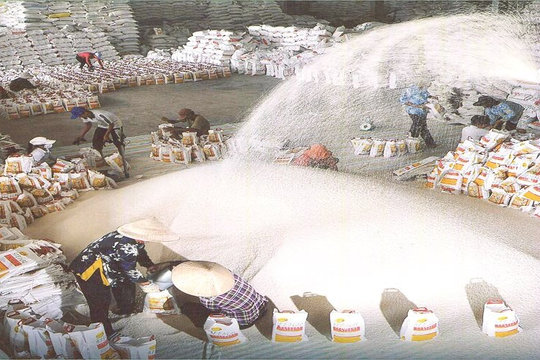 Philippines tăng dự trữ lương thực, gạo Việt đứng trước cơ hội mới
