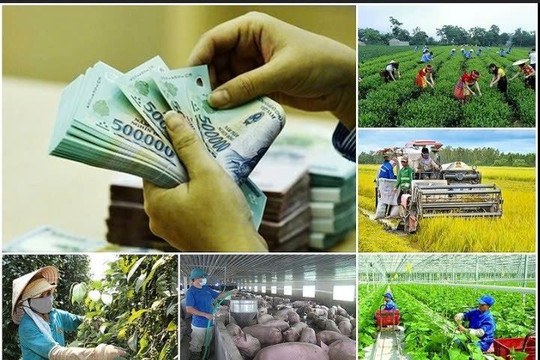 Giải ngân Chương trình mục tiêu quốc gia còn chậm, đề xuất thống nhất 4 chương trình thành một