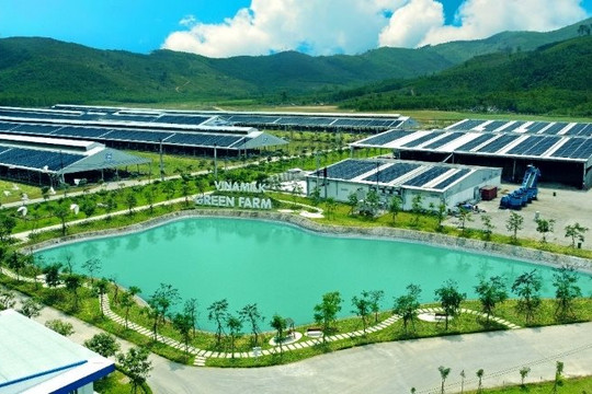 Khi một công ty sữa Việt chuyển hóa niềm tin thương hiệu thành tài sản 2,6 tỷ USD