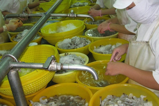 Xuất khẩu thủy sản 7 tháng đạt 6,9 tỷ USD, tôm đóng góp hơn 40% kim ngạch