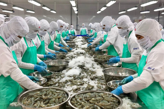 Thủy sản Việt còn nhiều dư địa để mở rộng thị trường nội địa