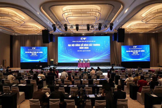 ĐHĐCĐ bất thường EVF: Thông qua kế hoạch tăng vốn, nới room ngoại lên tối đa 50%