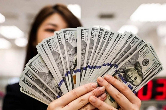 Tỷ giá trung tâm ngày 28/8 giảm nhẹ, USD chịu áp lực từ dữ liệu việc làm Mỹ