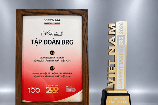 Tập đoàn BRG lọt Top 4 doanh nghiệp tư nhân nộp ngân sách lớn nhất Việt Nam