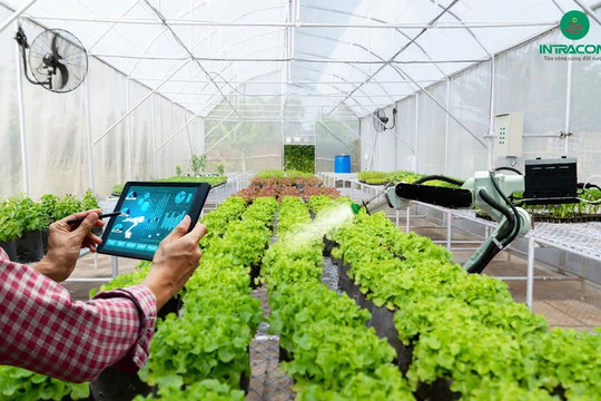 Nông nghiệp công nghệ cao: Bài toán không chỉ là đầu tư công nghệ