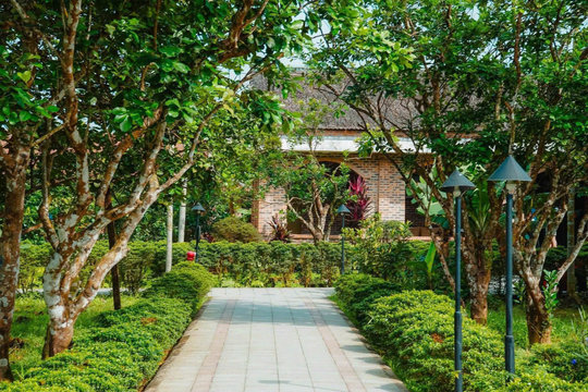 Thủy Biều – Ngôi làng xanh bên dòng Hương Giang