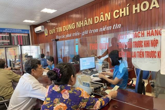 Bài toán tái cơ cấu hệ thống quỹ tín dụng nhân dân An Giang và Cà Mau: Hướng đến hoạt động an toàn, bền vững