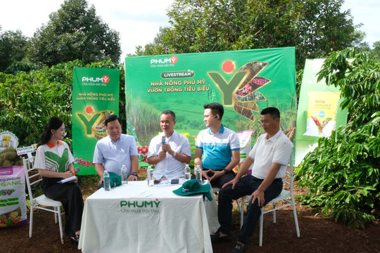 9 tháng năm 2026: PVFCCo – Phú Mỹ duy trì đà tăng trưởng, mở rộng không gian phát triển