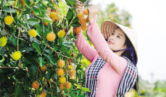 Chính sách tín dụng nhằm nâng cao sức cạnh tranh sản xuất nông nghiệp Việt Nam