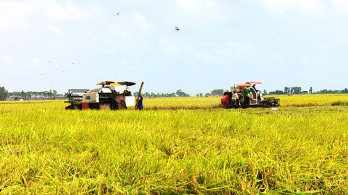 Agribank cam kết đảm bảo cung cấp đủ hạn mức tín dụng cho nông nghiệp
