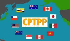 Chỉ định cơ quan đầu mối triển khai Hiệp định CPTPP