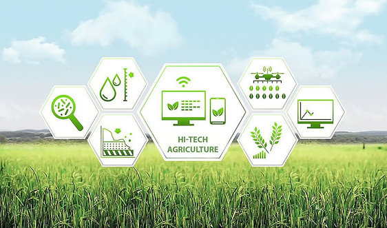 Giải pháp mở rộng hoạt động cho vay đối với nông nghiệp công nghệ cao trong giai đoạn hiện nay