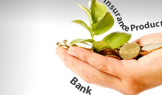 Thông tư hướng dẫn hoạt động đại lý bảo hiểm của tổ chức tín dụng, chi nhánh ngân hàng nước ngoài cho doanh nghiệp bảo hiểm