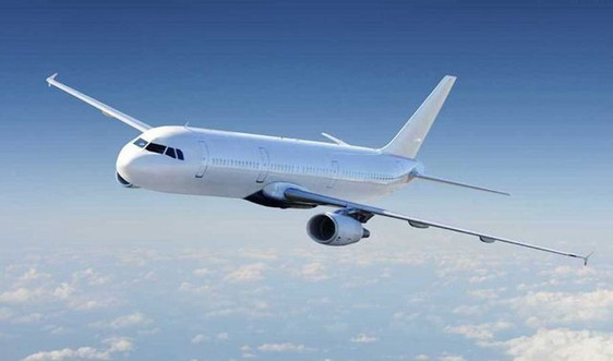 Bộ Giao thông Vận tải tạm ngưng việc xem xét thành lập hãng hàng không mới