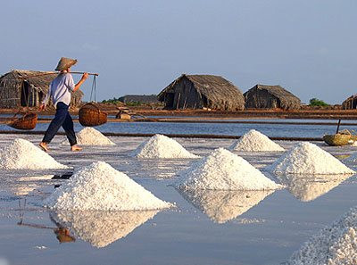 Phê duyệt Đề án phát triển ngành muối