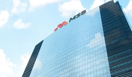 VSD nhận lưu ký 1.175 triệu cổ phiếu của MSB 