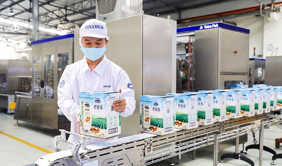 Hệ thống “khủng” 13 nhà máy là nội lực giúp Vinamilk duy trì vị trí dẫn đầu thị trường sữa nhiều năm liền