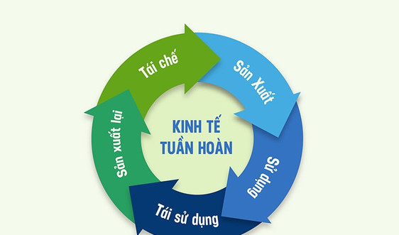 Thực hành ESG tại một trong những doanh nghiệp điển hình ở Việt Nam