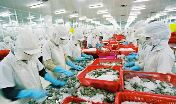 Mất thị trường EU, ngành thủy sản Việt Nam sẽ tổn thất thế nào?