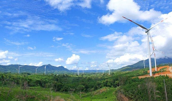 Quảng Trị cho phép  Lũng Lô 51 nghiên cứu dự án điện gió