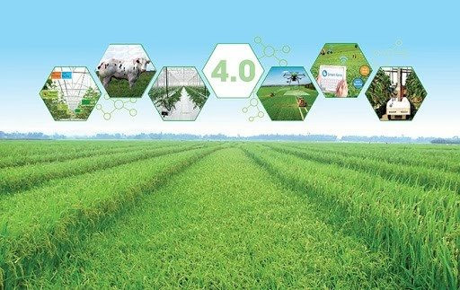 Hoàn thiện chính sách về vốn cho chuyển đổi nông nghiệp số, phát triển ngành nông nghiệp bền vững