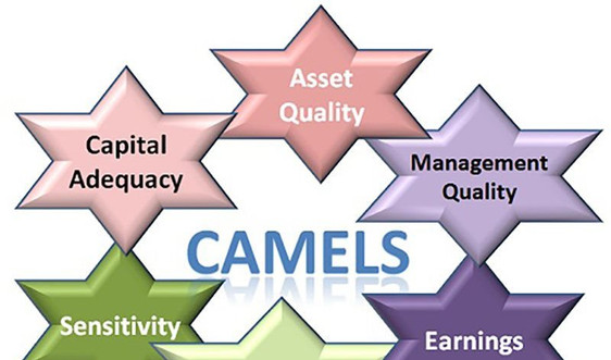 Đánh giá hiệu quả hoạt động của tổ chức tài chính vi mô CEP qua mô hình CAMELS