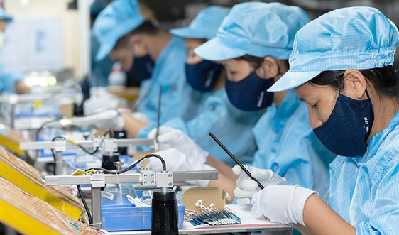 Khu vực tư nhân có vai trò trọng yếu thúc đẩy tăng trưởng kinh tế của Việt Nam