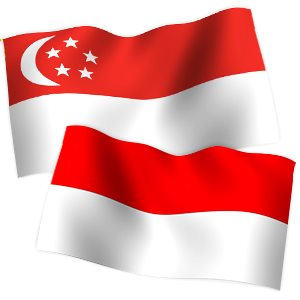 Singapore và Indonesia gia hạn thỏa thuận tài chính song phương trị giá 10 tỷ đô la