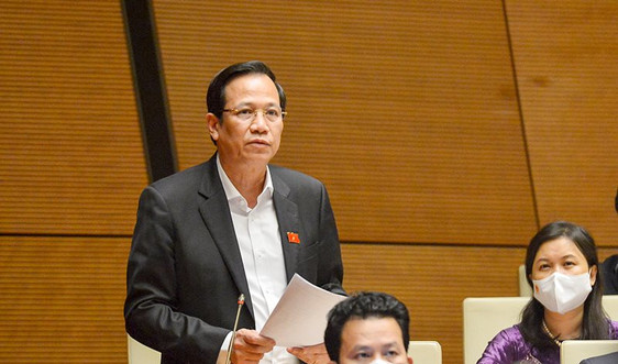 Bộ trưởng Đào Ngọc Dung: Chính sách an sinh xã hội đã được thực hiện tốt