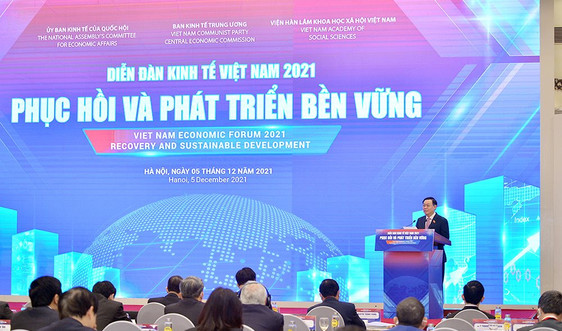 Diễn đàn Kinh tế Việt Nam 2021: Cởi mở, đa chiều và toàn diện