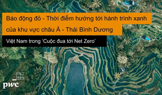 Việt Nam trong "cuộc đua" tới net zero 