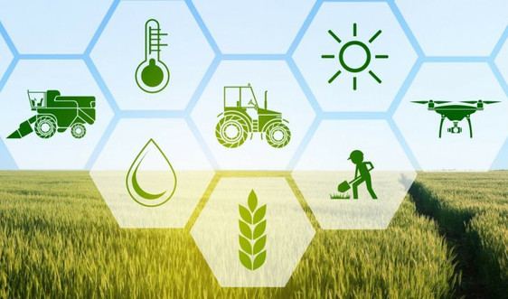 Phê duyệt Chiến lược phát triển nông nghiệp và nông thôn bền vững giai đoạn 2021 – 2030, tầm nhìn đến năm 2050