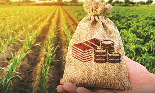 Thực hiện chính sách hỗ trợ bảo hiểm nhằm mở rộng tiếp cận tín dụng trong sản xuất nông nghiệp