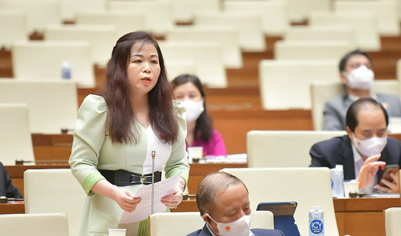 Đại biểu Vũ Thị Lưu Mai: lựa chọn giảm sắc thuế nào cần cân nhắc