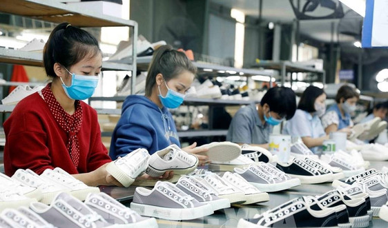 Nghiên cứu khuyến cáo của WB về tình hình kinh tế Việt Nam