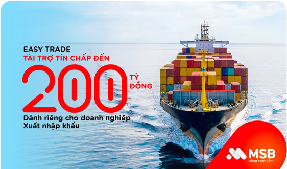 MSB cấp vốn tín chấp tới 200 tỷ đồng cho doanh nghiệp xuất nhập khẩu