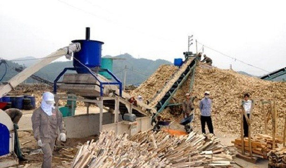Thương mại gỗ Việt Nam - Trung Quốc: Hướng tới xây dựng thương mại ngành gỗ có trách nhiệm