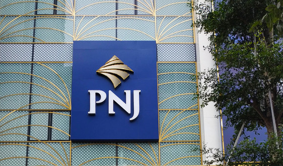 PNJ báo lãi ròng 1.246 tỷ đồng sau 8 tháng đầu năm, gần gấp đôi cùng kỳ