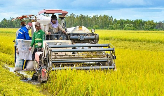 Ngân hàng Nhà nước yêu cầu tiếp tục triển khai chính sách tín dụng phát triển nông nghiệp, nông thôn vùng ĐBSCL