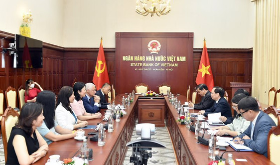 Phó Thống đốc Thường trực NHNN Đào Minh Tú tiếp Tổng Giám đốc Tập đoàn Standard Chartered