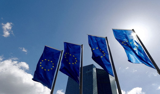 5 câu hỏi cho quyết định của ECB trong tuần này