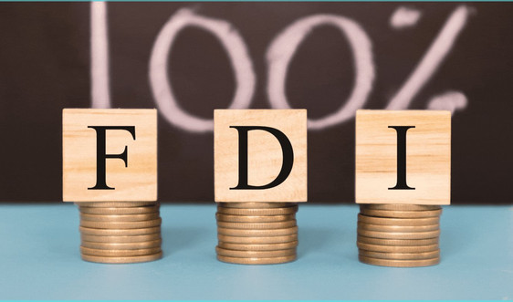 Vốn FDI vào Việt Nam đạt hơn 25,1 tỷ USD