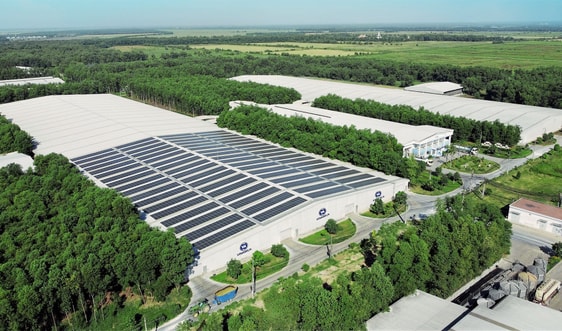 Net Zero: Từ cam kết đến những bước đi tiên phong của doanh nghiệp Việt