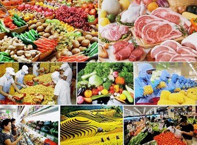Kế hoạch hành động quốc gia chuyển đổi hệ thống lương thực thực phẩm minh bạch, trách nhiệm và bền vững ở Việt Nam đến năm 2030