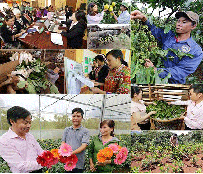 Ngân hàng Chính sách Xã hội nâng mức cho vay tối đa đối với hộ nghèo