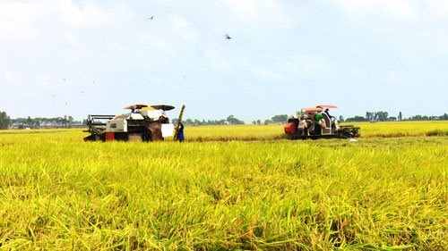 Agribank cam kết đảm bảo cung cấp đủ hạn mức tín dụng cho nông nghiệp