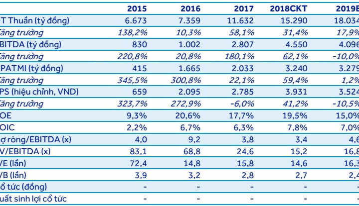Novaland: Ước tính lợi nhuận năm 2019 đi ngang do các dự án bị hoãn