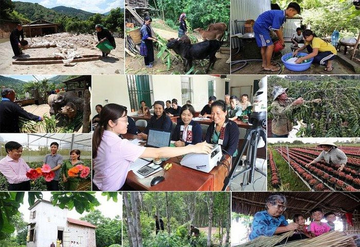 Phối hợp và làm tốt trách nhiệm của đơn vị nhận ủy thác cho vay góp phần nâng cao hiệu quả các chương trình tín dụng chính sách trên địa bàn tỉnh Đồng Nai